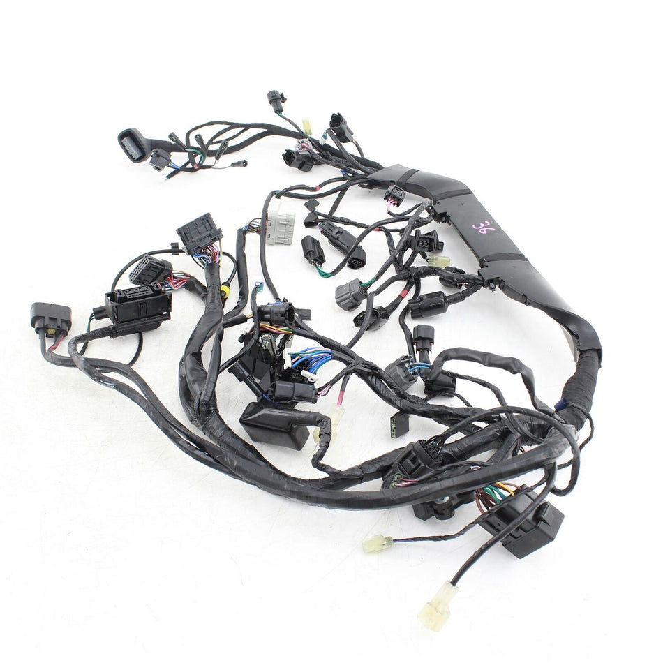 2021 ON TRIUMPH SPEED TWIN 1200 Wiring Harness - T2502474
