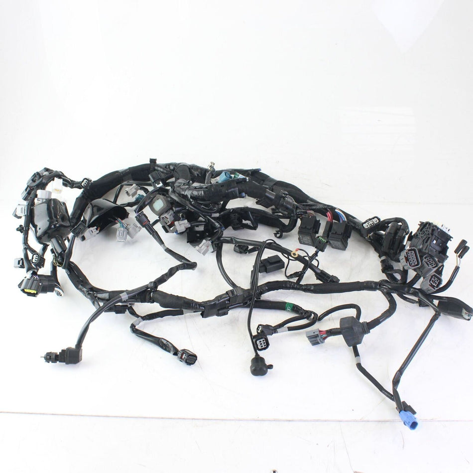 2020-ON KAWASAKI NINJA 1000 SX Main Wiring Loom - 260312965