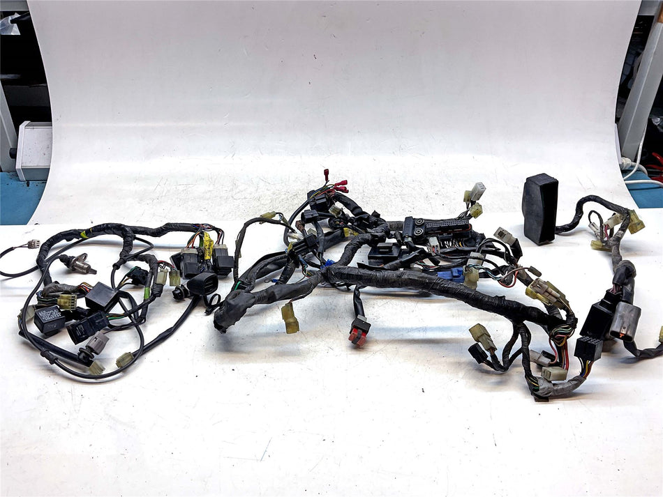 2006 Yamaha FJR1300A Wiring Harness Loom
