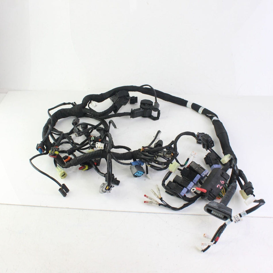 2018-ON KTM 790 DUKE Wiring Harness - 64111075000