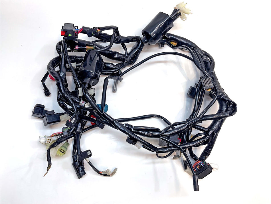 2023 Yamaha YZF-R 125 Wiring Harness Loom - BNUH25900000