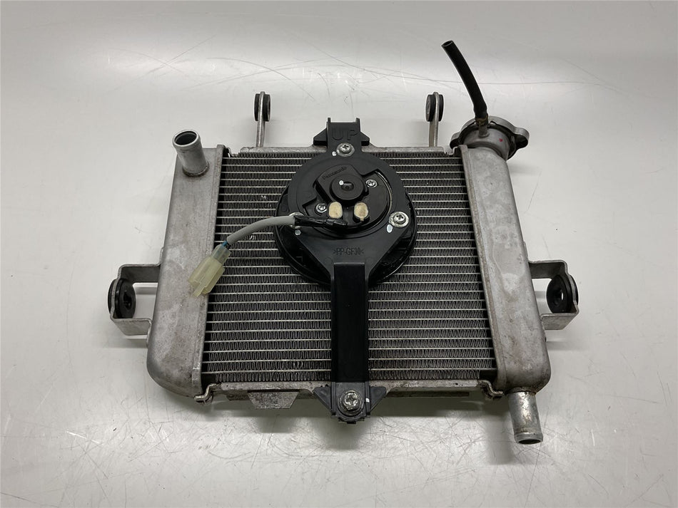 2020 SUZUKI GSX-R125 Radiator & Fan - 17710-23K00