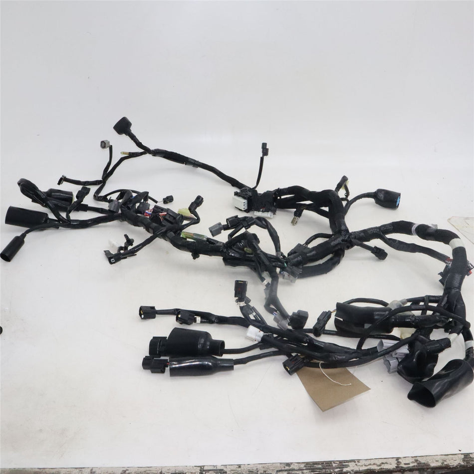 2024 KAWASAKI NINJA ZX4RR Wiring Harness - 260314113