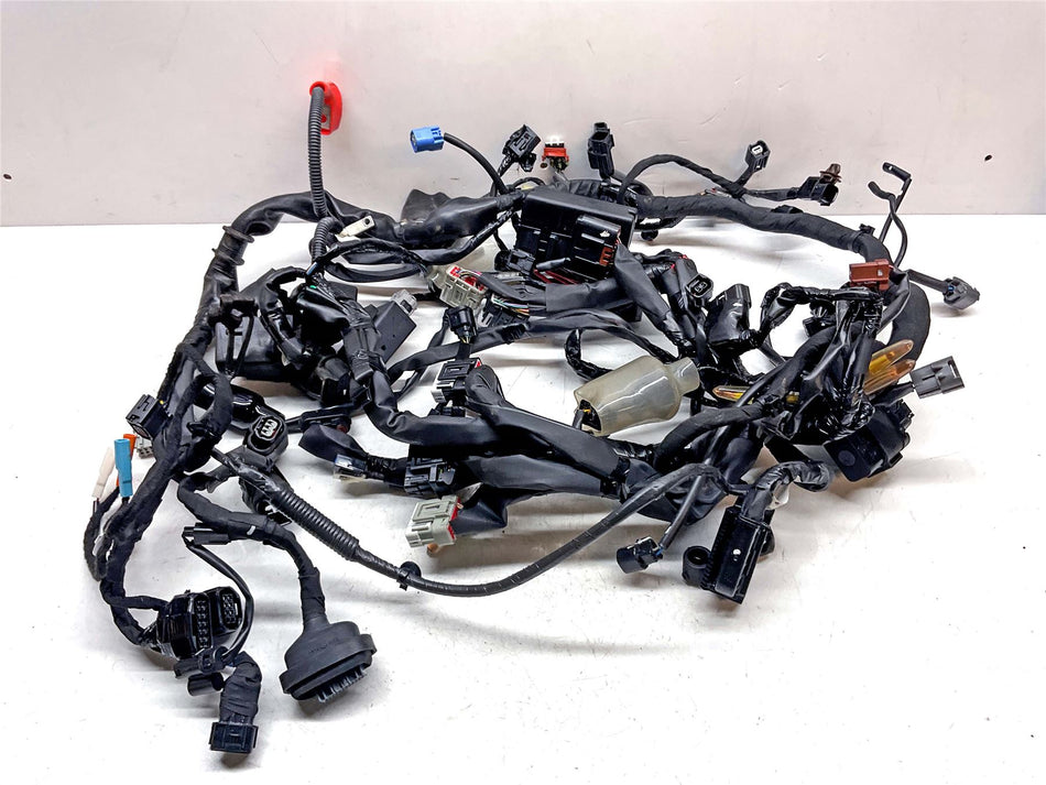 2023 Honda CMX1100 REBEL Wiring Harness Loom - 32100MLAD20