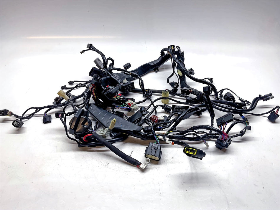 2024 Triumph Speed Triple 1200 RR Wiring Loom - T2505551