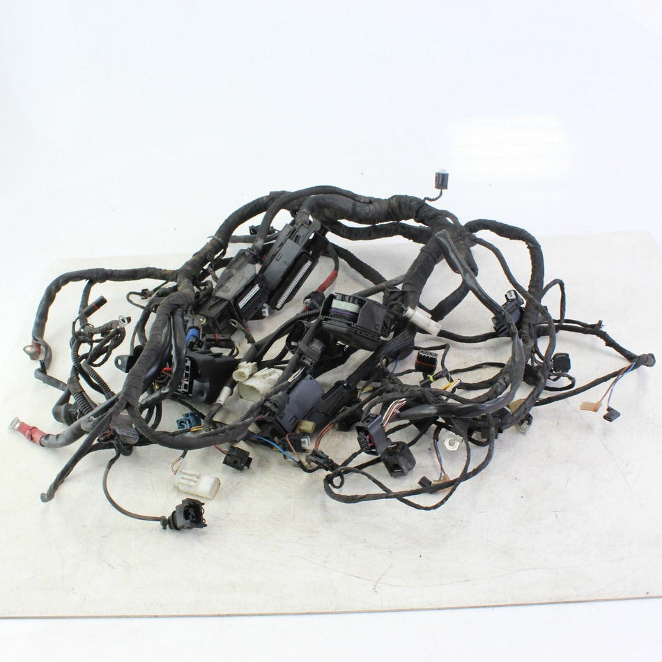 2005-2009 BMW R1200 RT Main Wiring Harness - 61117682242