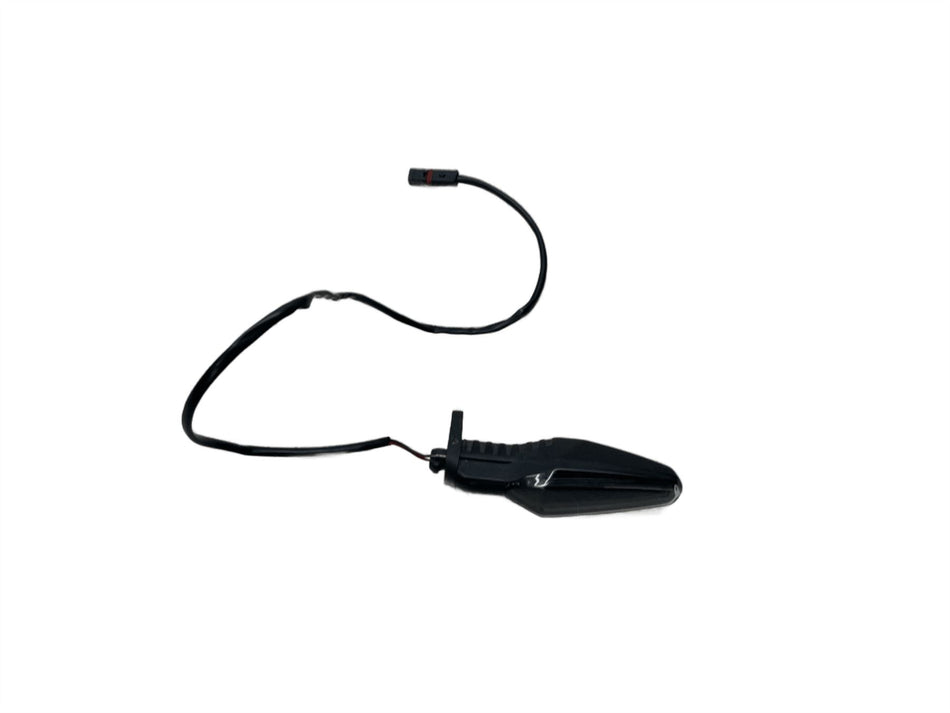 2023 BMW R1250RS Rear Left  Indicator 63138522499