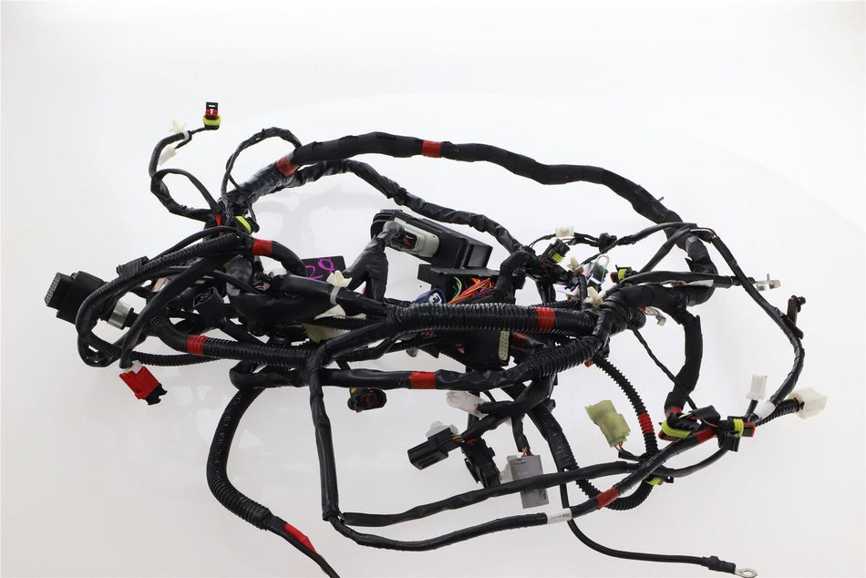 2008-ON PIAGGIO VESPA GTS 300 SUPER Main Wiring Harness - 1D003330