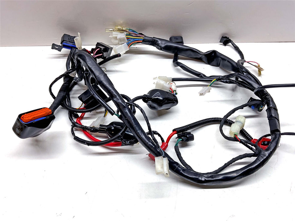 2026 Herald Scrambler Wiring Harness Loom - 120801