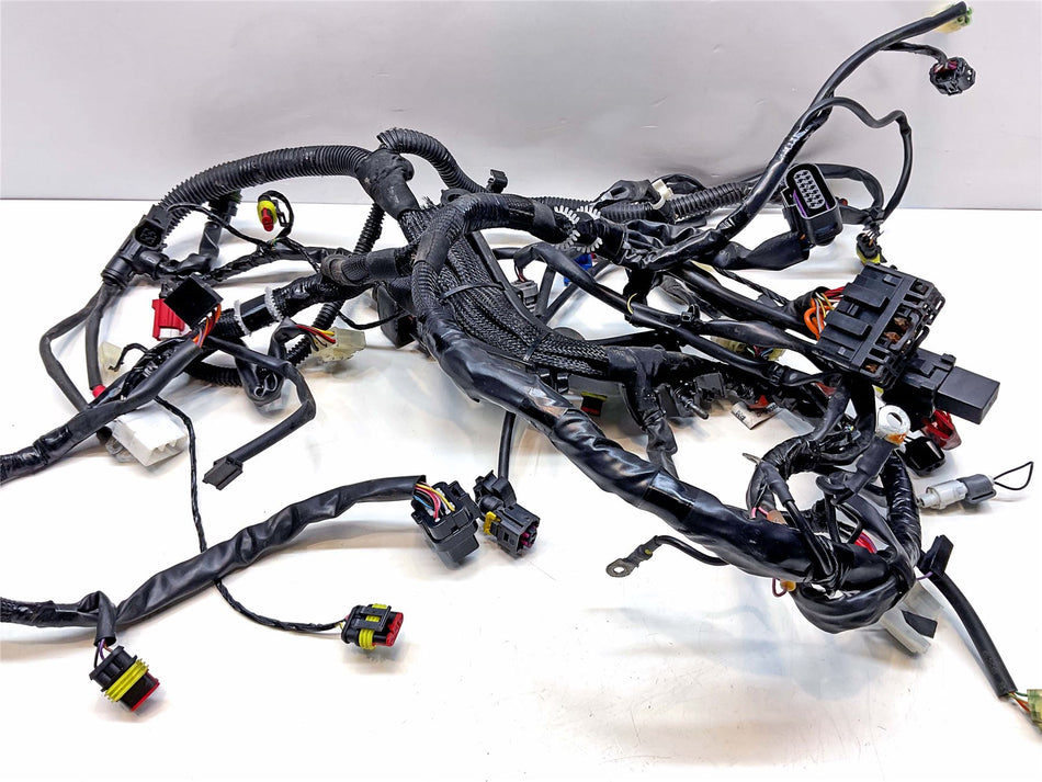 2023 Vespa 125 Primavera Wiring Harness Loom - 1D003210