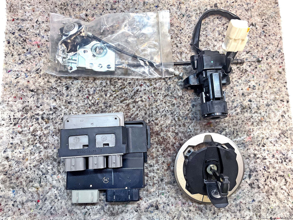 2025 Kawasaki Ninja 500 Lock Set & ECU - 60 Miles - 211751996