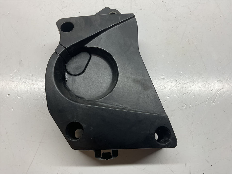 2010 BMW S1000RR Sprocket Cover - 11147708898