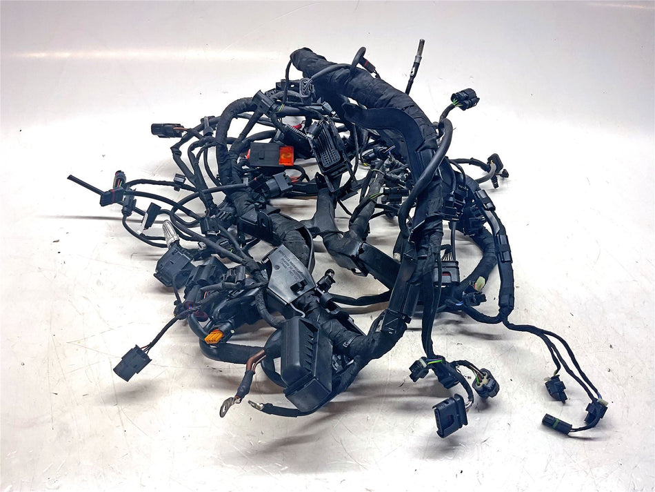 2023 BMW M1000R Main Wiring Harness - 61115A79989