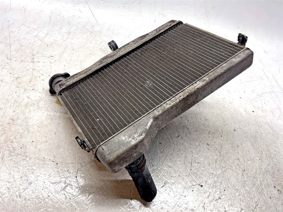 2020 Yamaha Tenere 700 XTZ07 Radiator - BW31246100