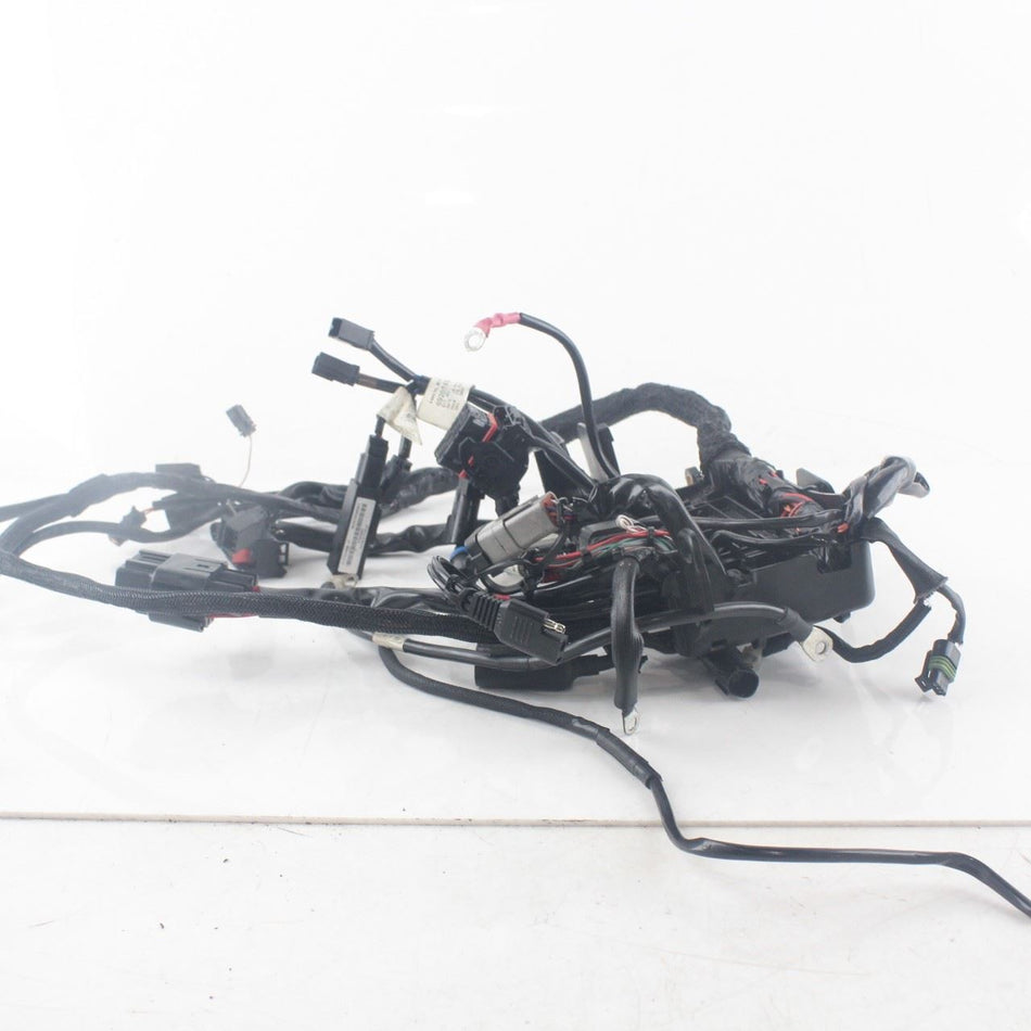 2009-2020 HARLEY-DAVIDSON 833 N IRON Wiring Harness - 69200479B