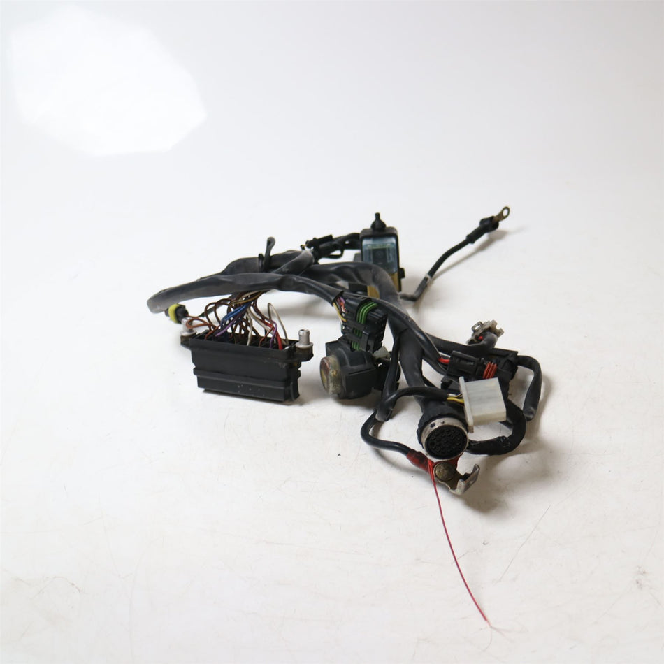 1999 Ducati 748 Wiring Harness - 51010621G
