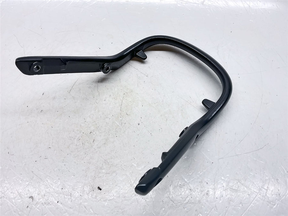 2025 Triumph Speed 400 Pillion Grab Rail - T231403