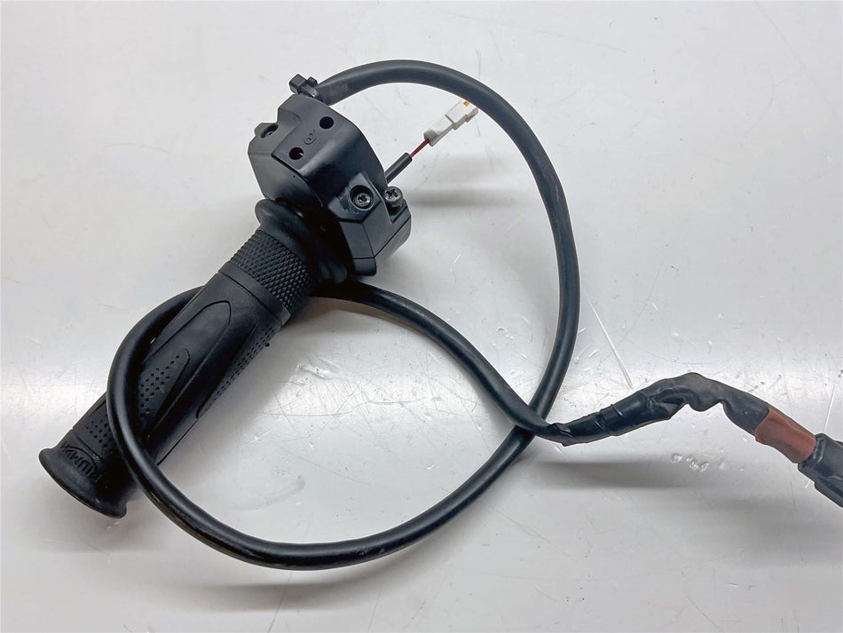 2024 Triumph Tiger 900 GT Throttle Sensor & Heated Grip - T2043069