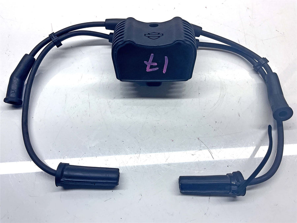2019 Harley-Davidson Sport Glide FLSB 107 Ignition Coil