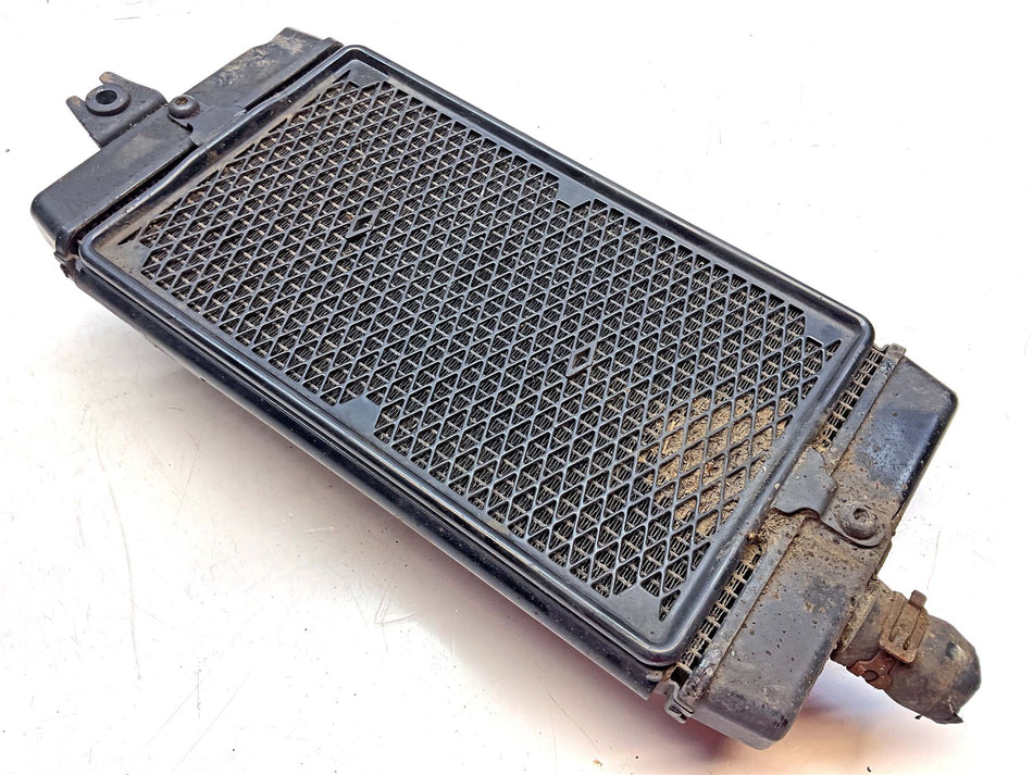 2019 Triumph Speed Twin 1200 Radiator - T2101333