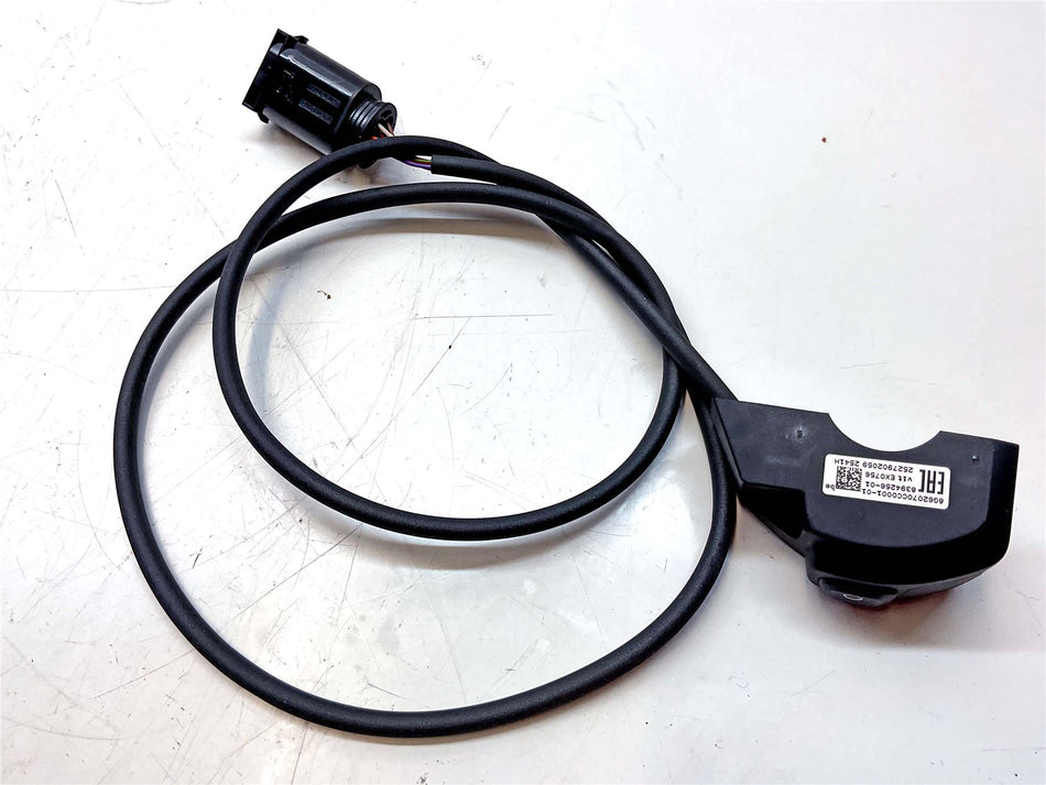 2026 BMW S1000XR Additional Light Switch - 61318394256