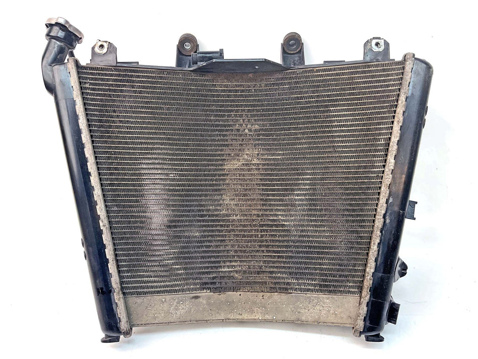 2023 BMW M1000R Radiator - 17118356804