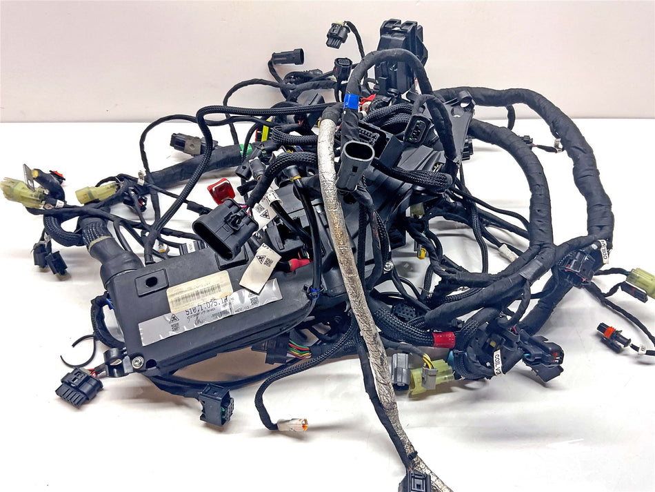 2022 Ducati Multistrada V4 S Wiring Harness Loom - 5101D751H