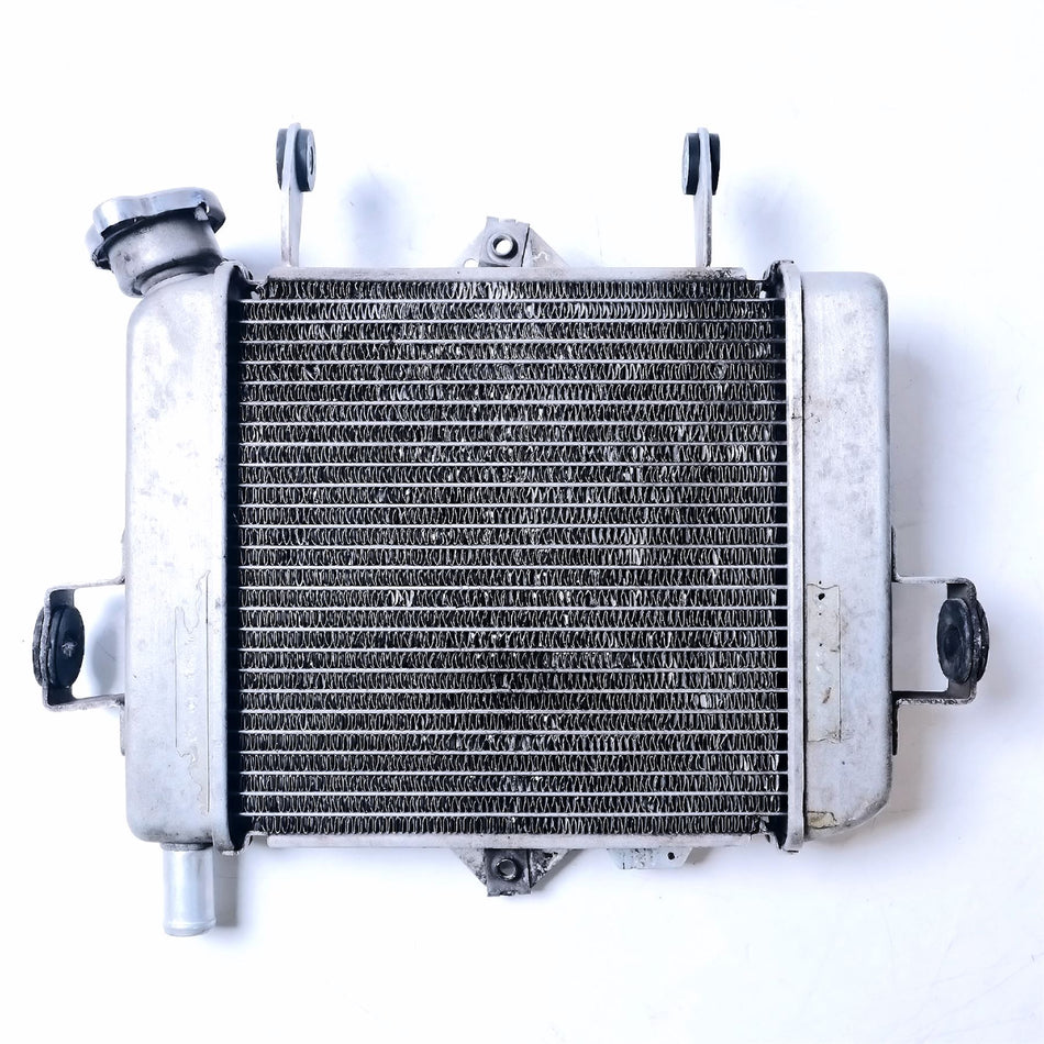 2021 Suzuki GSX-S125 Radiator - 1771023K00000