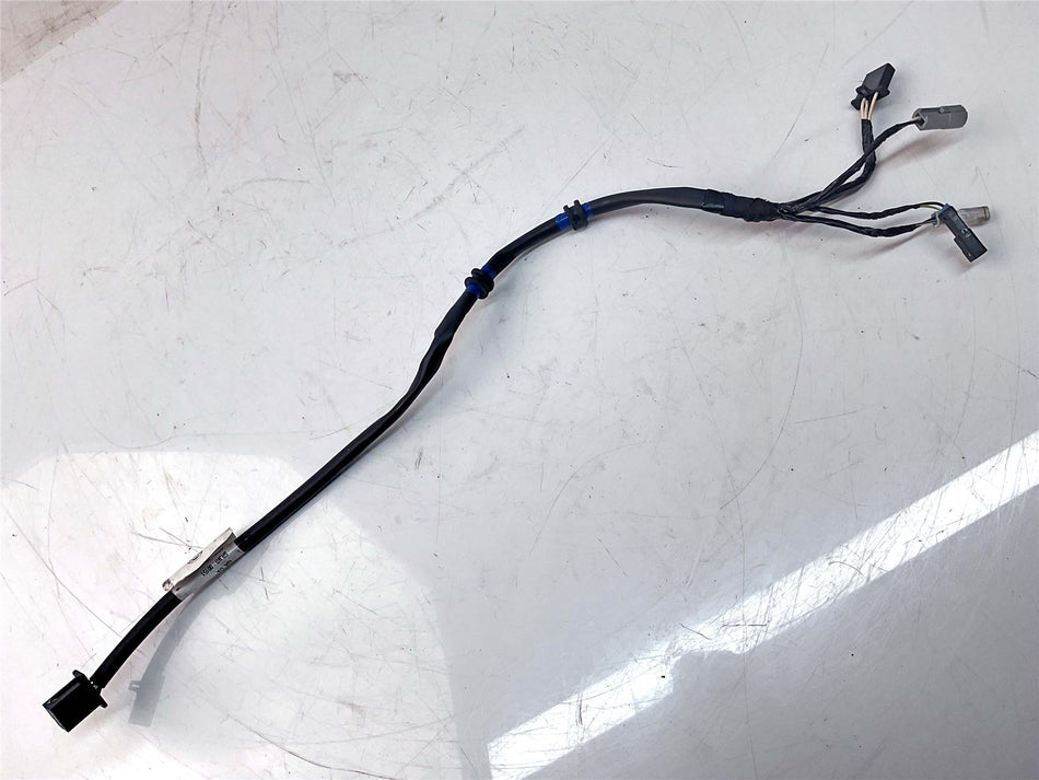 2025 Royal Enfield Interceptor Bear 650 Tail Light Wiring - RAC00624C