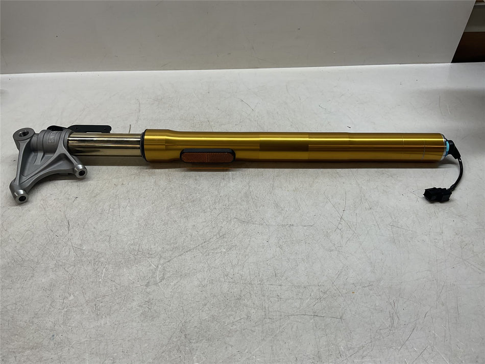 Triumph Speed Triple RR OHLINS Left Fork