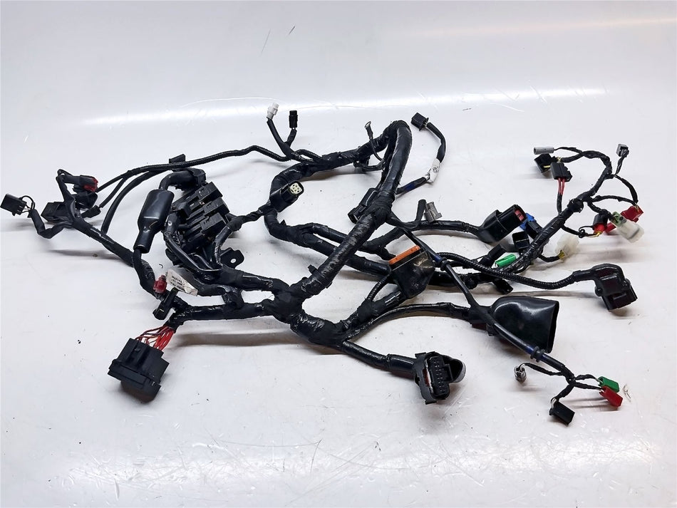 2024 Royal Enfield Hunter 350 Wiring Harness Loom - RAC00891