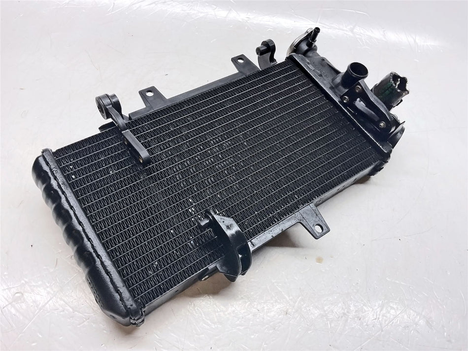 2017 BMW F700GS Radiator - 17117678284