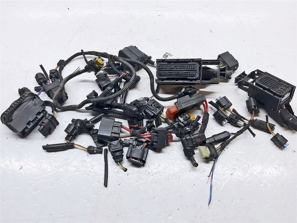 2024 BMW F900GS Wiring Harness Block Conectors - B59992BC