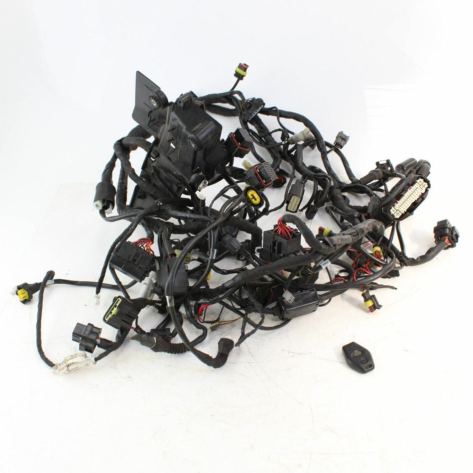 2010-2014 DUCATI MULTISTRADA 1200 S Wiring Harness  - 51017011C