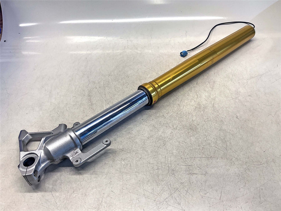 Triumph Tiger 1200 Right Fork (SHOWA)
