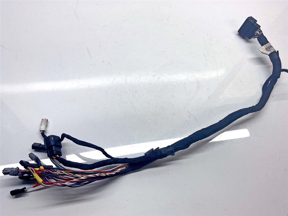 2019 Harley-Davidson Sport Glide FLSB 107 Secondary Wiring Harness Loom