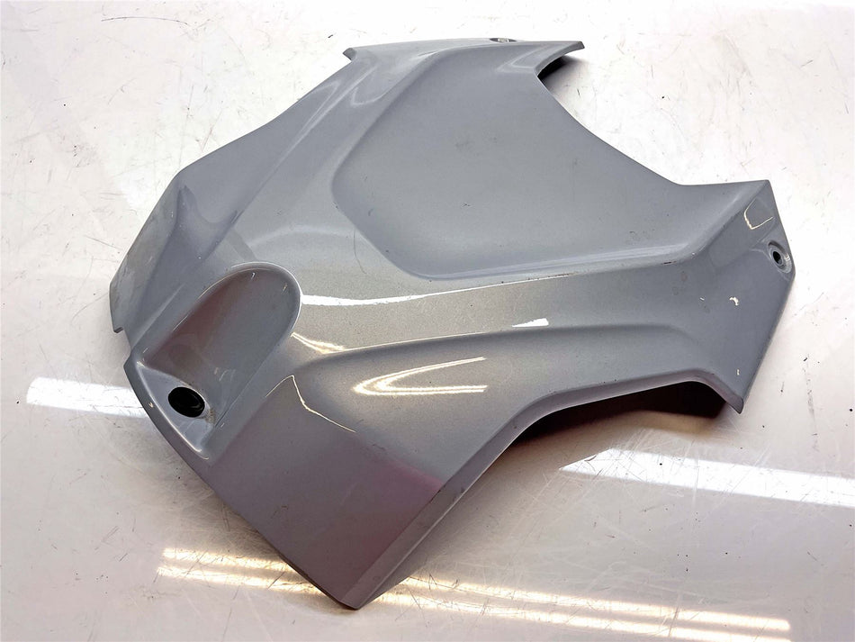 BMW S1000RR Fuel Tank/Air box Cover