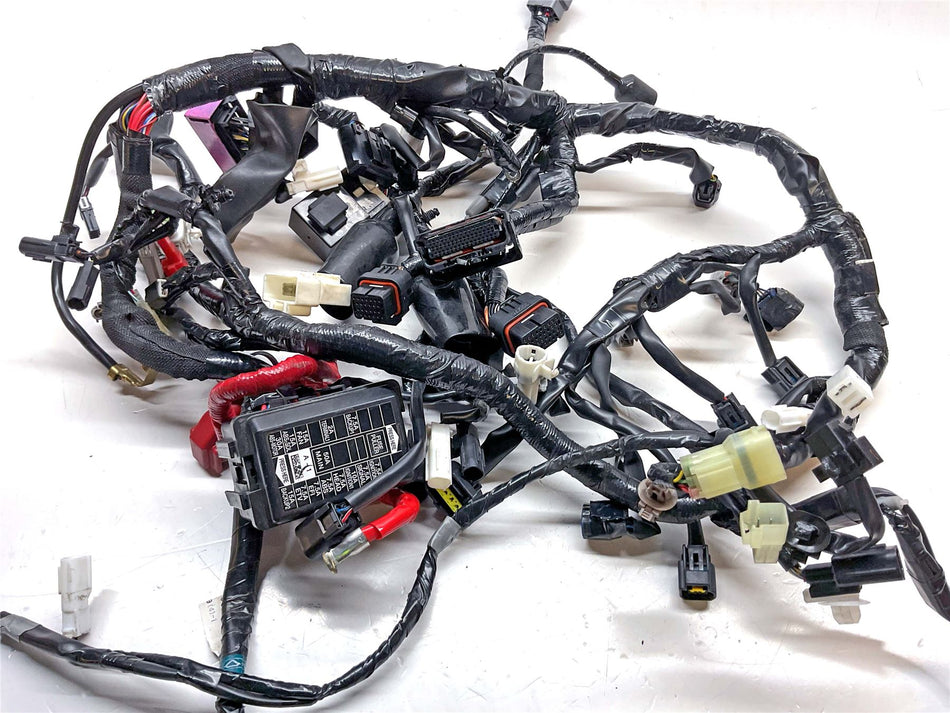 2024 Yamaha MT-09 Main Wiring Harness - BME825900000