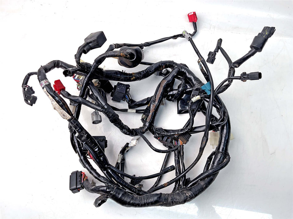 2024 Yamaha YZF-R 125 Wiring Harness Loom - BNUH25900000