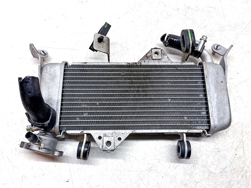 2025 Yamaha YZF-R 125 Radiator - BCWE24601000