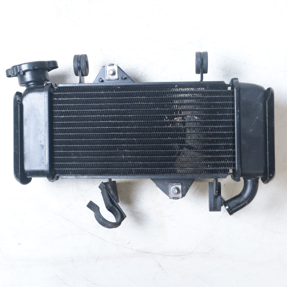 2022 Yamaha XSR125 Radiator & Fan - B1VE246000