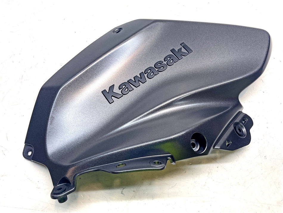 2026 Kawasaki Z H2 ZR1000 ABS Front Left Tank Cover - 510260023
