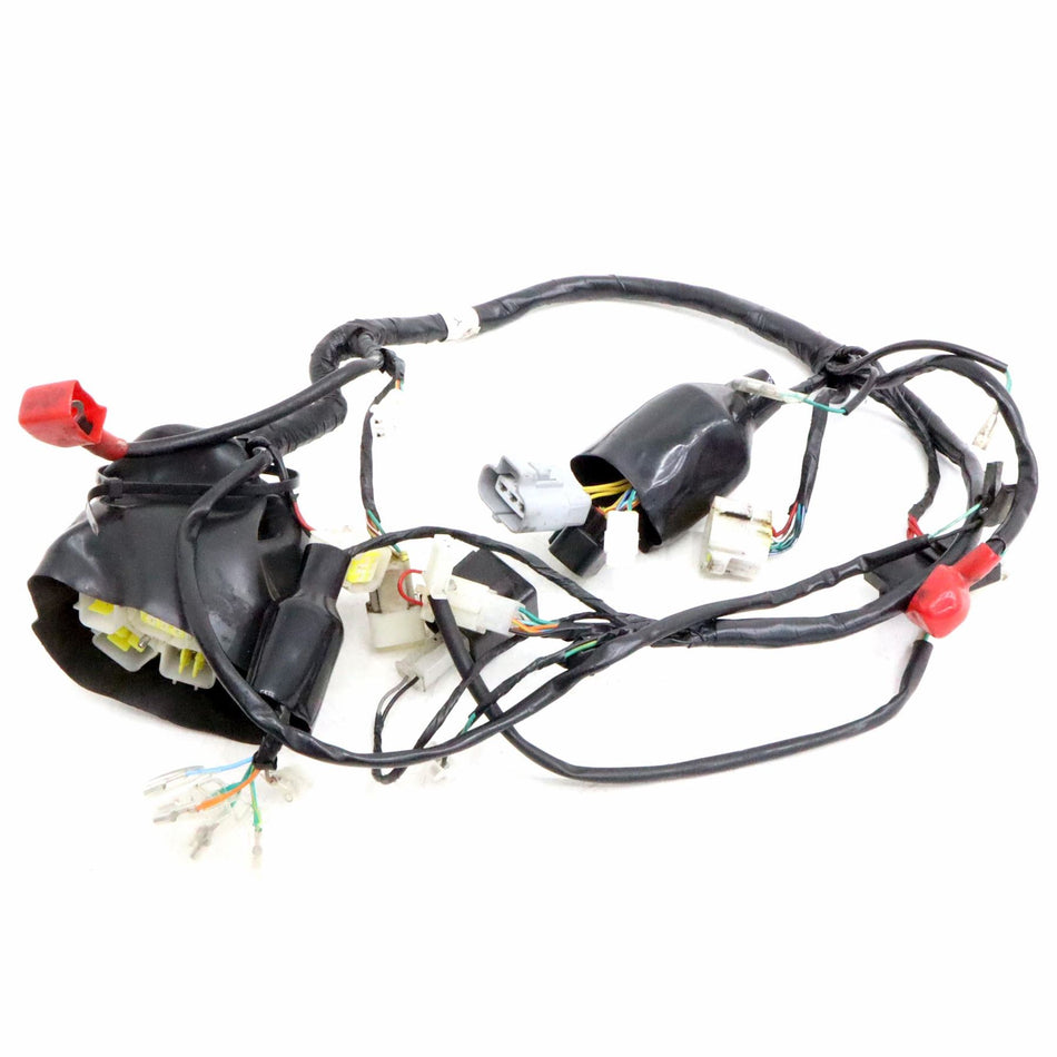 2023 Herald Brat 125 Wiring Harness / Loom