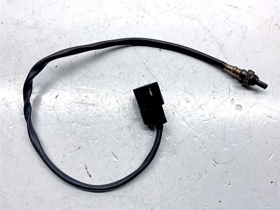2021 Harley-Davidson Iron 1200 XL1200NS Lambda Sensor