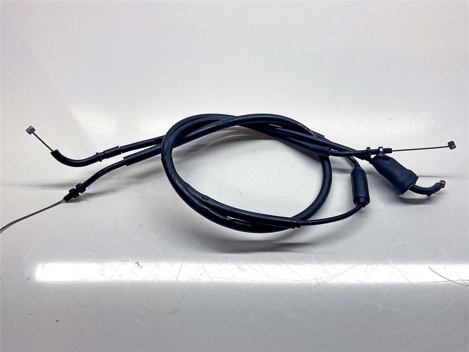 2009 Triumph Tiger 1050 Throttle Cable - T2040480