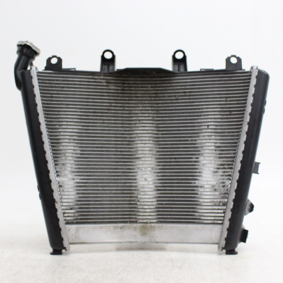 BMW M1000RR Radiator - 17118356804