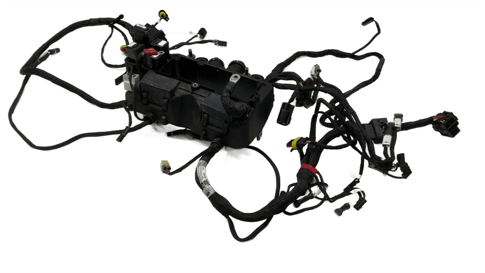 2020 Ducati Streetfighter V4 Main Wiring Harness Loom 5101F391D0