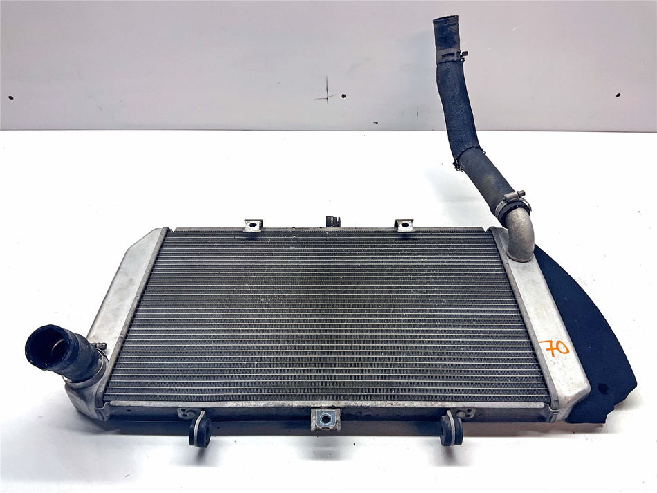 2020 Kawasaki Ninja ZX10R ZX1000 Radiator - 390600081