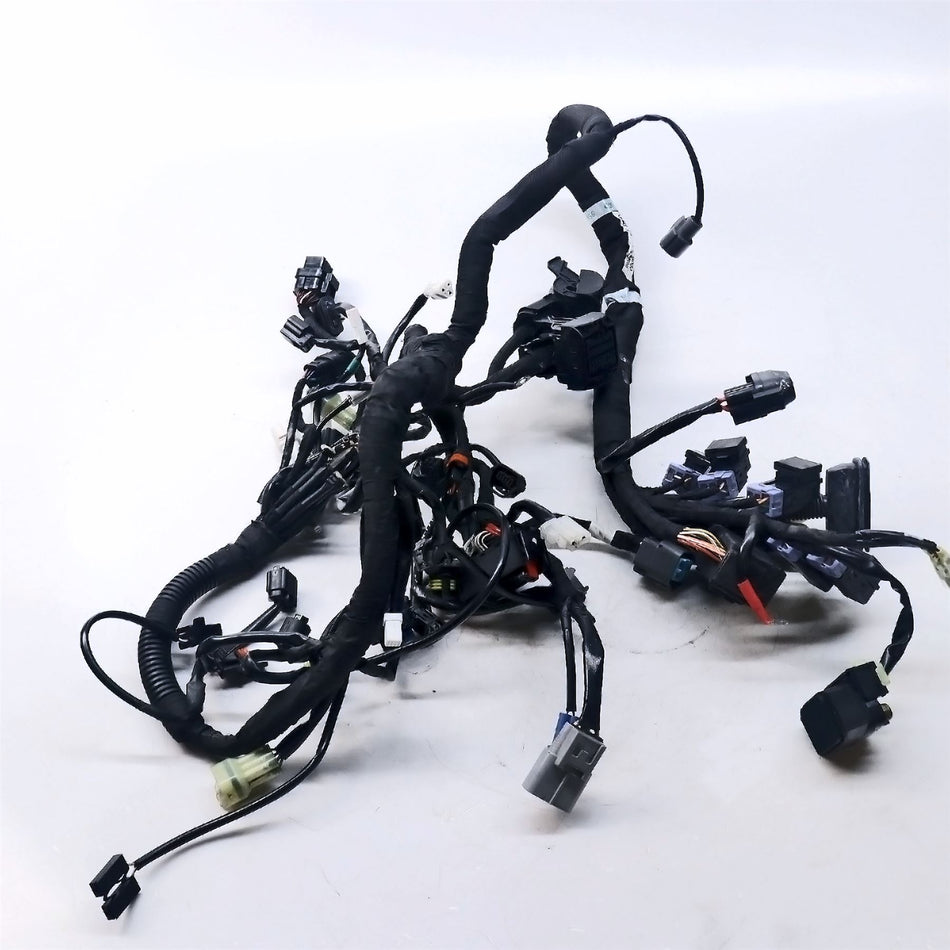 2020 KTM 790 Duke Wiring Harness - 64111075000