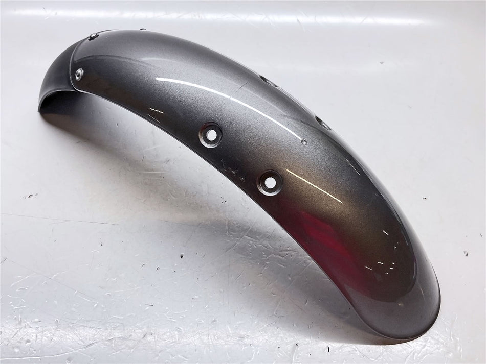 2024 Royal Enfield Interceptor 650 Front Mudguard - 585362